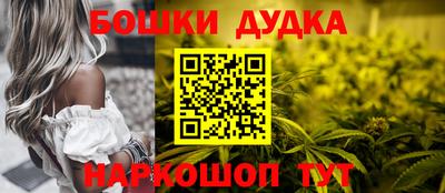 МДПВ Можга