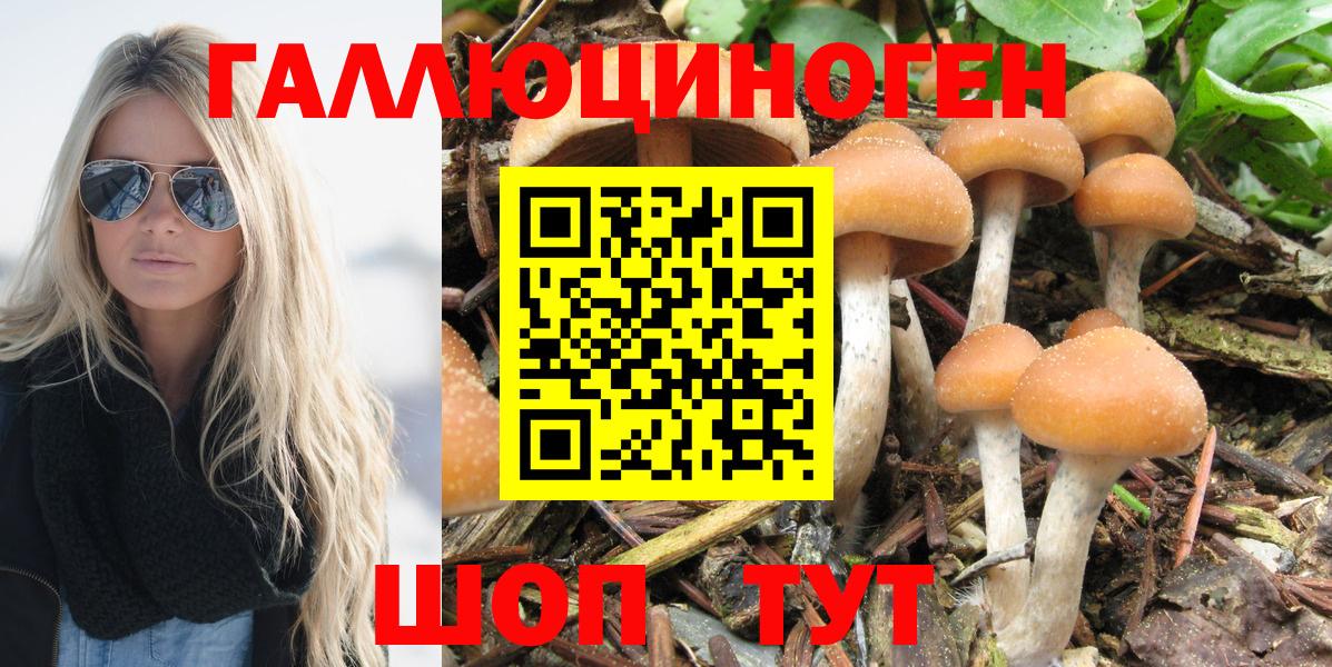 Псилоцибиновые грибы Cubensis  Псилоцибиновые грибы мицелий  Вход с VPN  Верхний Уфалей 